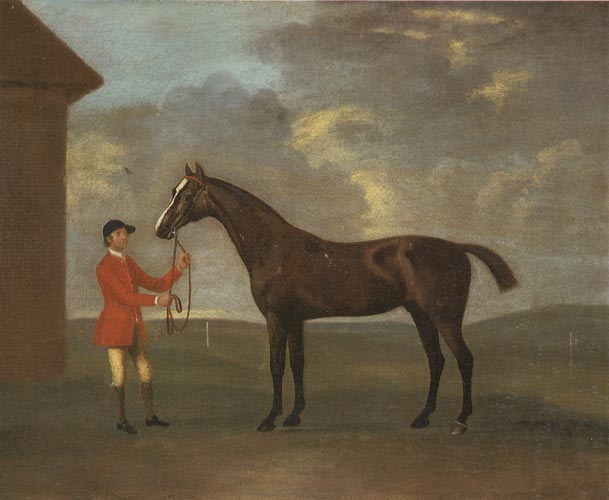 The Racehorse 